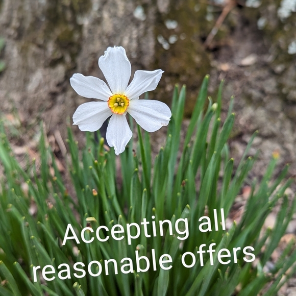 Vera Bradley crossbody bag - Picture 7 of 7